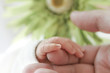 Generationen Finger