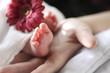Babyfuesse mit Hand und Blume pink