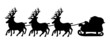 Santa in sleigh