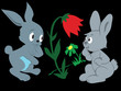rabbits