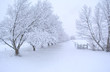 chemin de neige