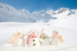 Happy winter friends