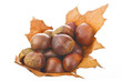 Castagne