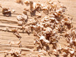 Holzspäne