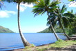 Playa en Moorea
