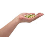 daisy in his hands daisy in his hands