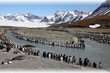 Photo en ligne au meilleur prix Colonie de manchots royaux, �le subantarctique Georgie du sud