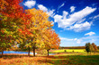 Autumn landscape