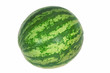 One Watermelon