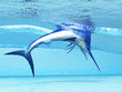 DIVE