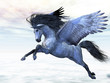 Photo en ligne au meilleur prix SILVER PEGASUS