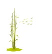 The illustration a wind breaks bamboo leaves, isolated