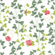 Vektor: Roses and Ivy, seamless background Roses and Ivy, seamless background