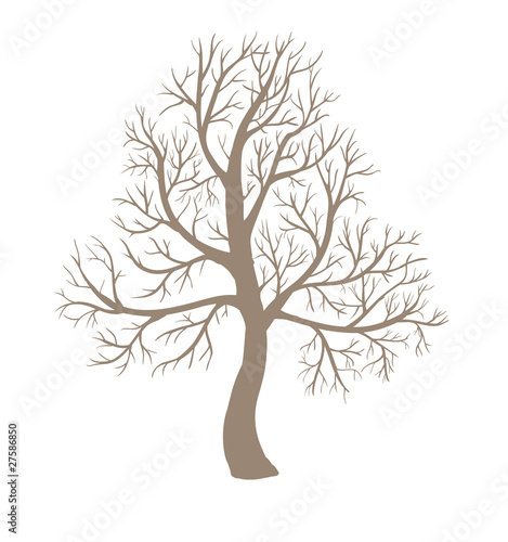 Leafless Tree Drawings