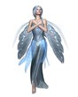 Fairy Winter Spirit 1