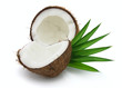 Coconut with leaves