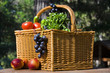 Picnic basket with autumn fruits Picnic basket with autumn fruits