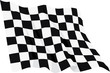 flag winner