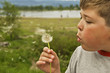 Blowing On A Dandelion