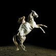 Beautiful girl on a white horse