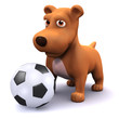 3d Dog wants to play football