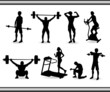 musculation