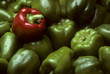 Photo: Green Bell peppers with One Red Bell pepper Green Bell peppers with One Red Bell pepper
