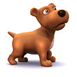 3d Small dog looks up