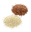 White and red quinoa grains closeup