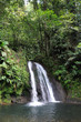 la Cascade aux Ecrevisses à la Guadeloupe la Cascade aux Ecrevisses à la Guadeloupe
