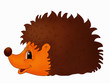 Hedgehog for children