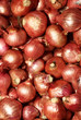 raw onion