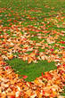 lovely Autumn
