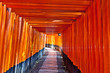 Foto: Torii Gates at Fushimi Inari Shrine Torii Gates at Fushimi Inari Shrine