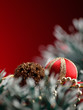 Foto: Christmas time Christmas time