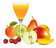 Fresh fruit and juice. Vector illustration.