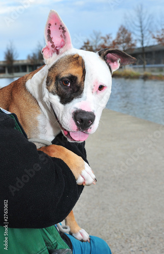 Photo: Braver Hund Braver Hund