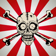 Illustration of a skull with two bones