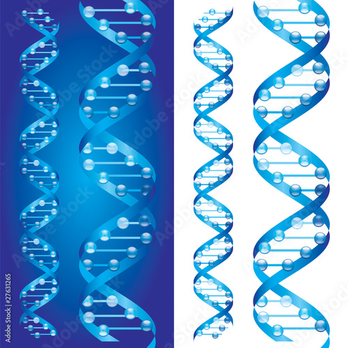 Vector: Blueprint D.N.A. chains Blueprint D.N.A. chains