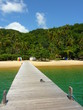 ponton sur  une plage du brésil