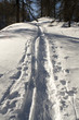 Mountain winter