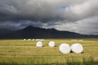 Hay Bales