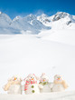 Happy winter friends (copy space)