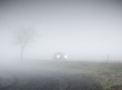 nebel