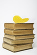 Hojas y libros