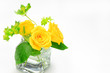 yellow rose
