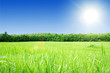Photo: Nature Nature