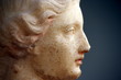 profilo di statua greca profilo di statua greca
