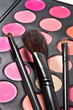 Professional make-up tools and multicolor palette Professional make-up tools and multicolor palette