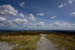 Landscape since the top of a hill